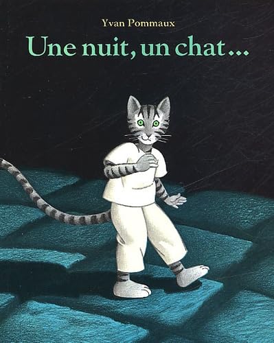 Stock image for Une nuit, un chat. for sale by GF Books, Inc.