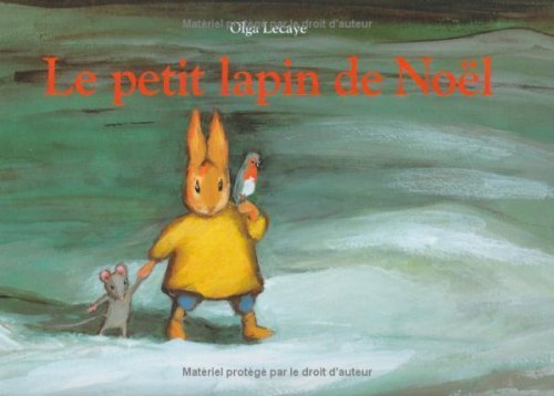 Beispielbild fr Le Petit lapin de Nol zum Verkauf von medimops