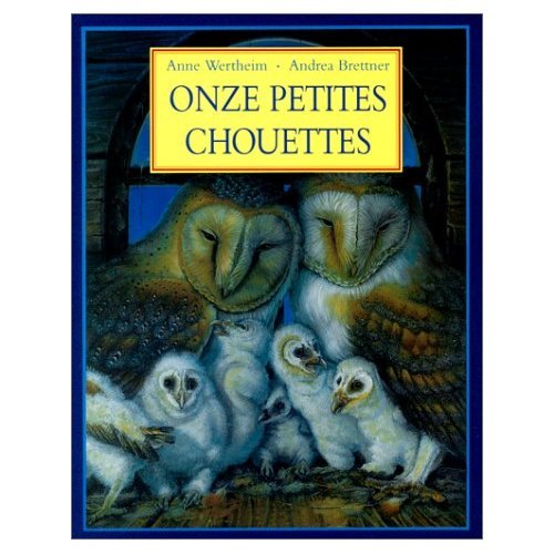 9782211055321: Onze petites chouettes