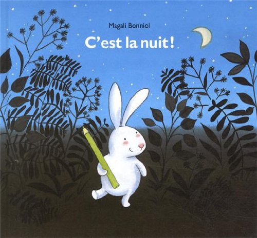 9782211213738: c est la nuit (French Edition)