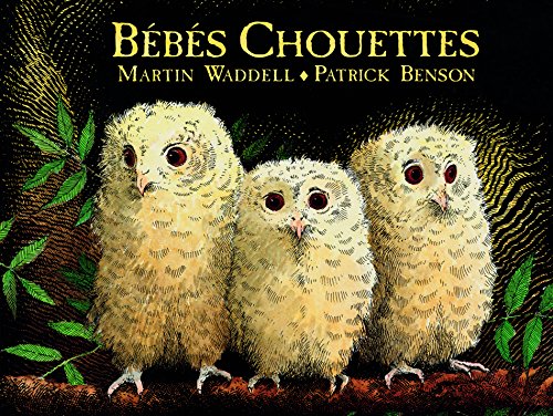 Bebes Chouettes Biblio Bib Petite Bibliotheque French Edition Abebooks Waddell Martin Benson Patrick