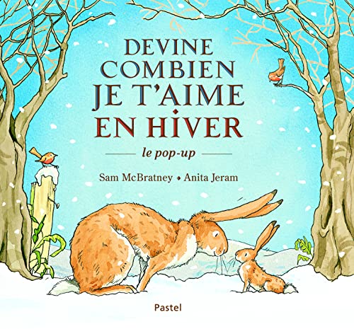 9782211230209: DEVINE COMBIEN JE T AIME EN HIVER LE POP UP