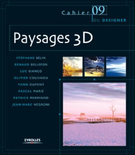 Stock image for Paysages 3D for sale by Gallix