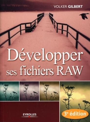 9782212122831: Dvelopper ses fichiers RAW
