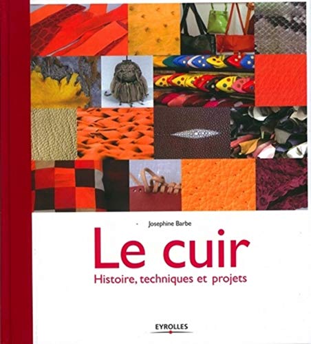 Beispielbild fr Le Cuir : Histoire, Techniques Et Projets zum Verkauf von RECYCLIVRE