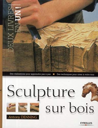 9782212128871: Sculpture sur bois: Des ralisations pour apprendre pas  pas. Des techniques pour crer  votre tour.