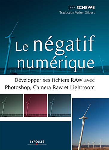 Stock image for Le ngatif numrique: Dvelopper ses fichiers RAW avec Photoshop, Camera RAW et Lightroom. for sale by Le Monde de Kamlia