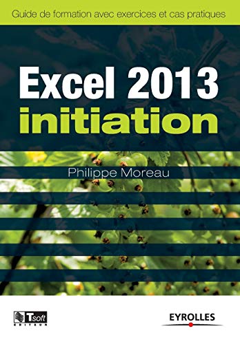 Stock image for Excel 2013 initiation for sale by Chiron Media