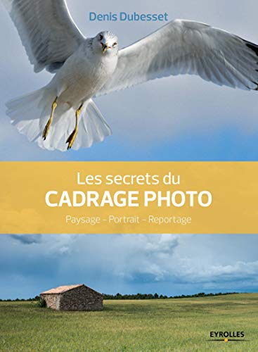 Beispielbild fr Les Secrets Du Cadrage Photo : Paysage, Portrait, Reportage zum Verkauf von RECYCLIVRE