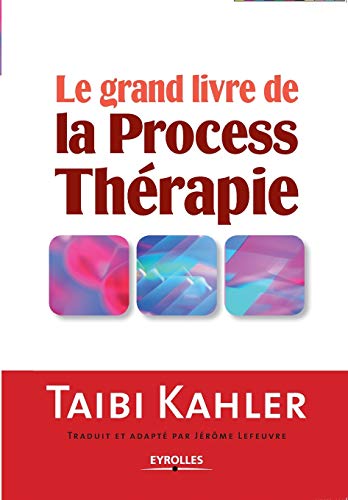 9782212544336: Le grand livre de la process thrapie (French Edition)