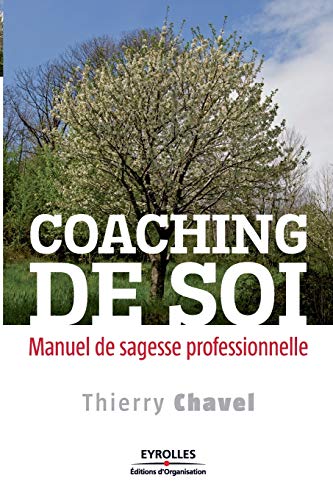 Beispielbild fr Coaching de soi : Manuel de sagesse professionnelle zum Verkauf von medimops