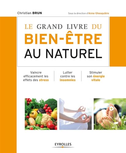 Beispielbild fr Le Grand Livre Du Bien-tre Au Naturel zum Verkauf von RECYCLIVRE