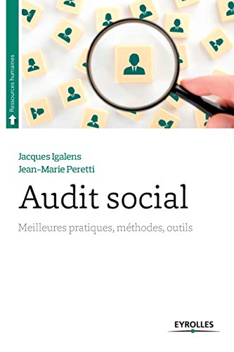 Beispielbild fr Audit social:Meilleures pratiques, methodes, outils zum Verkauf von Chiron Media