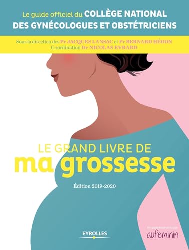 Stock image for Le grand livre de ma grossesse: Edition 2019-2020 for sale by Ammareal