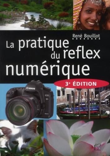 Beispielbild fr La pratique du reflex numrique zum Verkauf von Chapitre.com : livres et presse ancienne