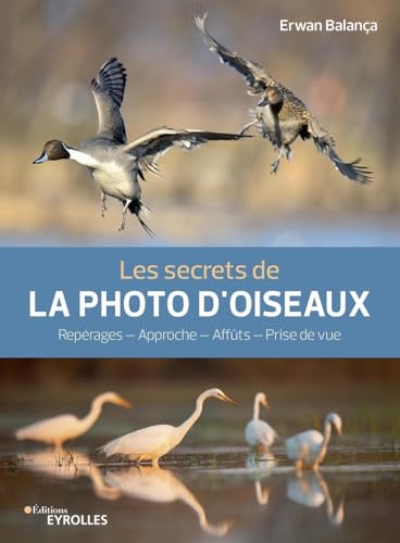 Beispielbild fr Les secrets de la photo d'oiseaux: Reprages - Approche - Affts - Prise de vue zum Verkauf von Gallix