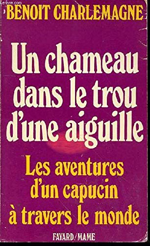 9782213008943: Un chameau dans le trou d'une aiguille (French Edition)