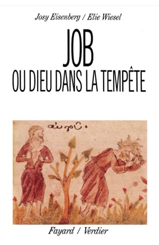Job ou Dieu dans la tempÃªte (9782213018430) by Wiesel, Elie; Eisenberg, Josy