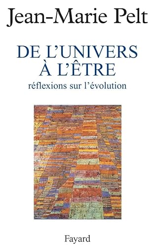 9782213596112: De l'univers  l'tre : rflexion sur l'volution