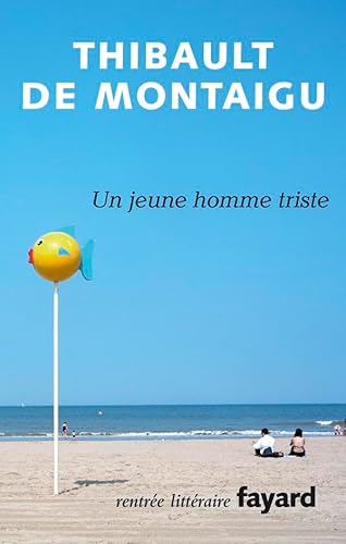 Stock image for Un jeune homme triste [Paperback] Montaigu, Thibault de for sale by LIVREAUTRESORSAS