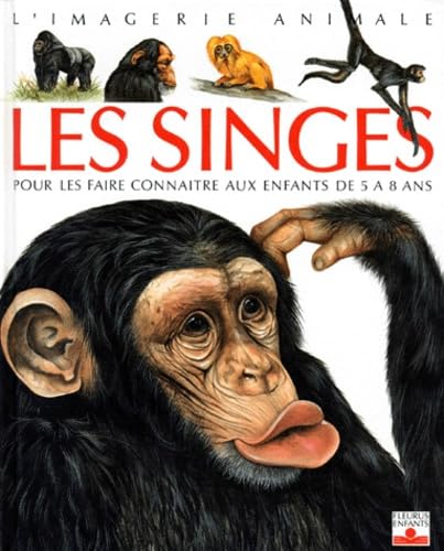 Les singes - Emilie Beaumont - Emilie Beaumont