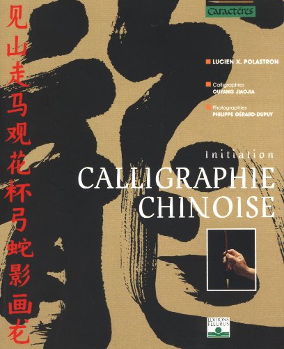 Imagen de archivo de Calligraphie chinoise : Initiation a la venta por Ammareal