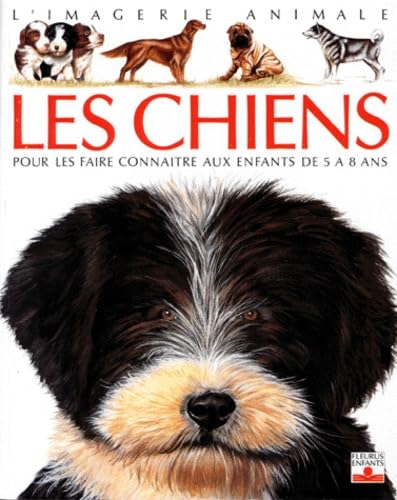 Stock image for Les chiens : Pour les faire connatre aux enfants de 5  8 ans for sale by medimops