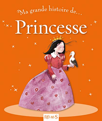 9782215048695: Ma grande histoire de Princesse (MA TOUTE 1ERE GDE HISTOIRE DE)