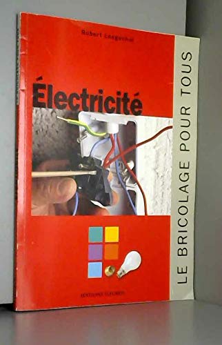 Imagen de archivo de Electricit a la venta por Ammareal