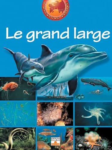Stock image for Le Grand Large for sale by Ammareal