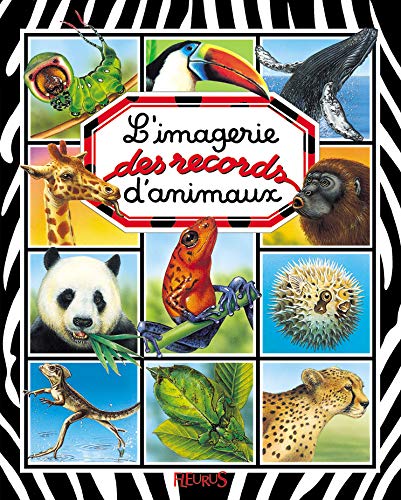 Stock image for L'imagerie des records d'animaux for sale by WorldofBooks