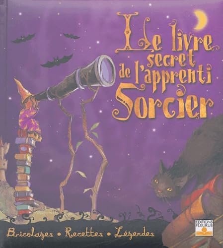 Stock image for Le Livre Secret De L'apprenti Sorcier : Bricolages, Recettes, Lgendes for sale by RECYCLIVRE