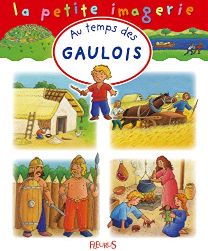 Beispielbild fr Au temps des Gaulois zum Verkauf von medimops