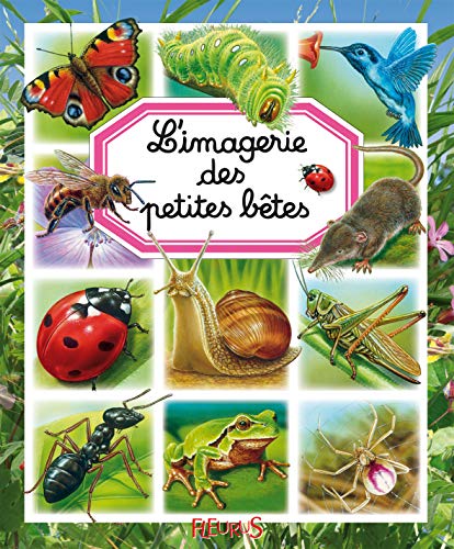Stock image for L'imagerie des petites bêtes for sale by ThriftBooks-Atlanta