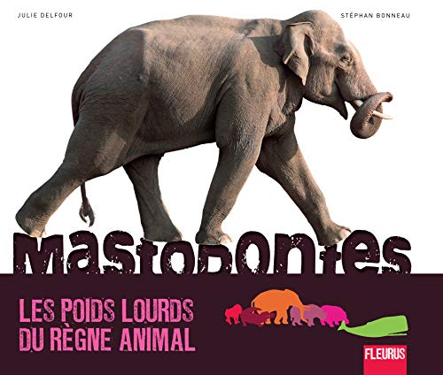 9782215100379: Mastodontes: Les poids lourds du rgne animal