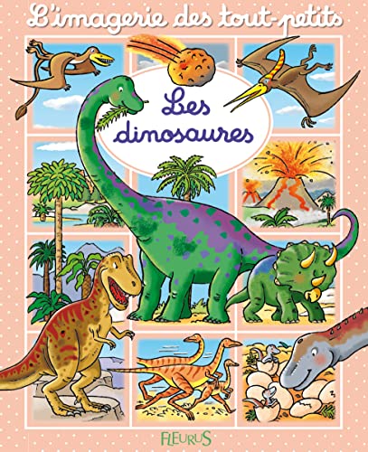 Stock image for Les dinosaures for sale by SecondSale