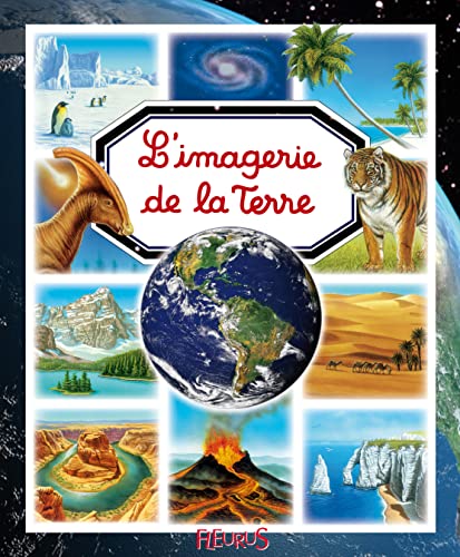 Imagen de archivo de L'imagerie de la Terre a la venta por WorldofBooks