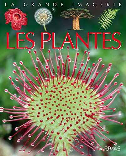 Beispielbild fr Les plantes zum Verkauf von Ammareal