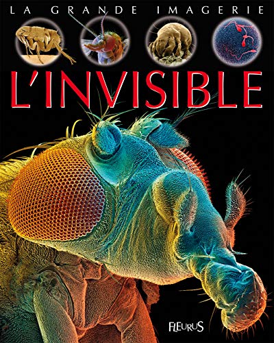 9782215114949: L'invisible (LA GRANDE IMAGERIE)