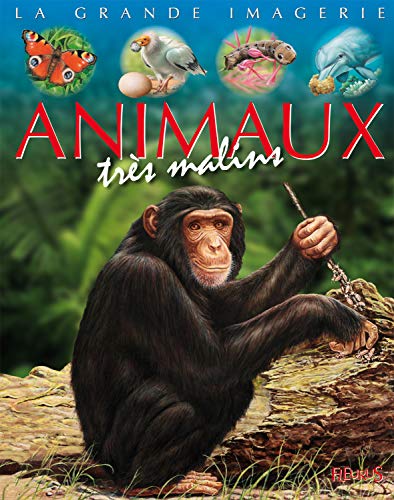 Imagen de archivo de Animaux trs malins a la venta por Librairie Th  la page