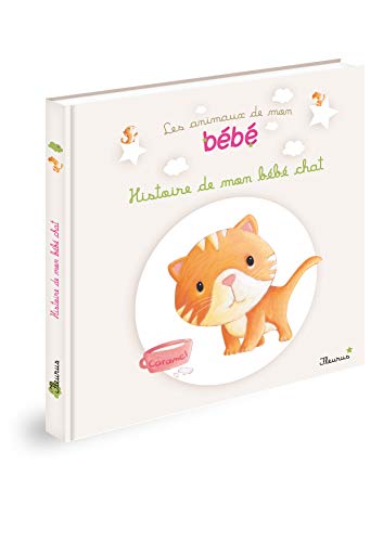 9782215120254: HISTOIRE DE MON BEBE CHAT