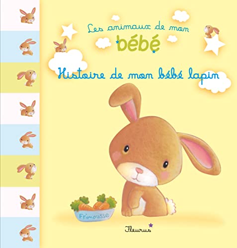 Beispielbild fr Histoire de mon bb lapin zum Verkauf von Ammareal