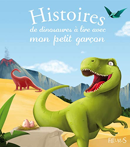 Beispielbild fr Histoires de dinosaures  lire avec mon petit garon zum Verkauf von Ammareal