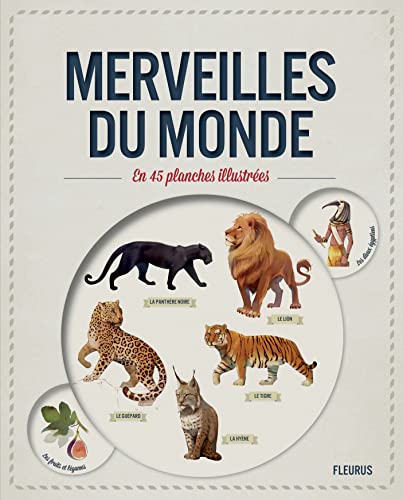 Beispielbild fr Merveilles du monde en 45 planches illustres zum Verkauf von medimops