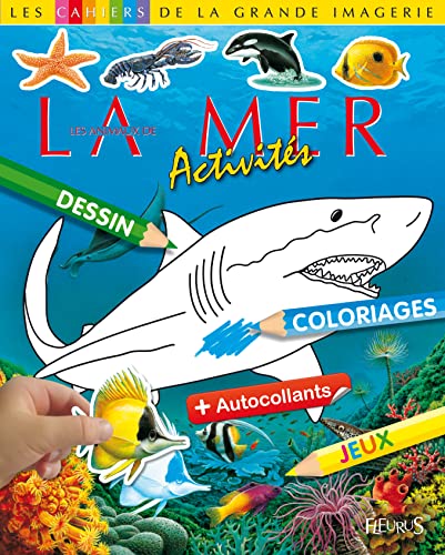 9782215141662: Les animaux de la mer: Activits