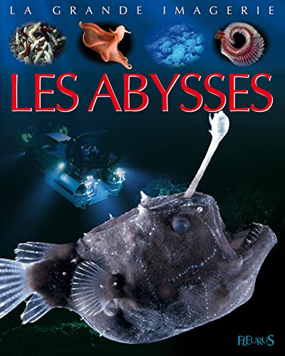 Stock image for Les abysses for sale by Ammareal