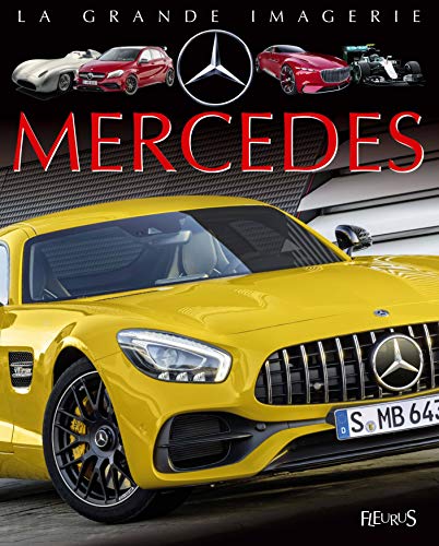 Imagen de archivo de Mercedes a la venta por RECYCLIVRE