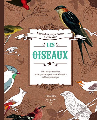 Beispielbild fr Les Oiseaux : Plus De 40 Modles Remarquables Par Audubon, Dresser Et Bowen zum Verkauf von RECYCLIVRE