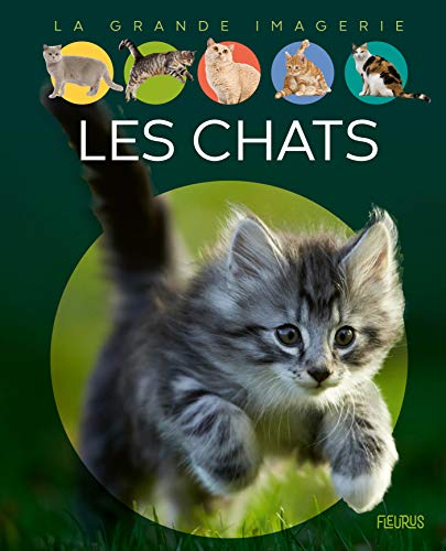 Beispielbild fr Les chats zum Verkauf von Ammareal