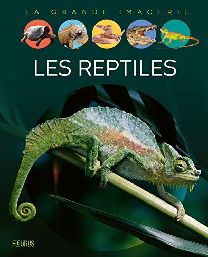 9782215158387: Les reptiles